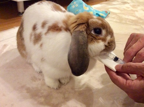 D9C1CC53-E3F7-4008-B1E1-059ED72EBF80