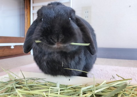 55B90A50-F04F-4367-A35F-E5ADF51B779A