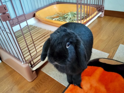 AEEA231B-C102-41E8-9C29-7594010B6EA9