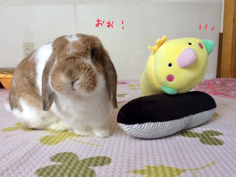 4356EC06-2461-4AB1-9BFD-7EC315F1242B