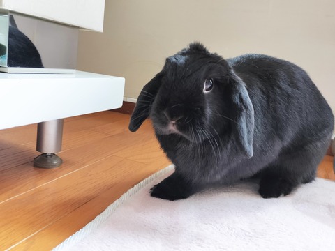 E241D45D-AD7F-4C4E-9C6E-767F8727AD97