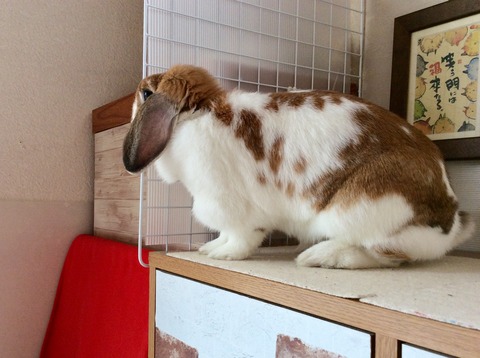 63D5A393-3529-4EC7-9ED5-B6E8CF2AC437