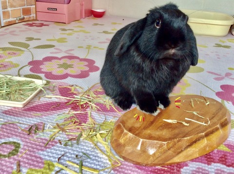 D98E33CB-4C55-4CEB-A4E3-AD3A5D962784