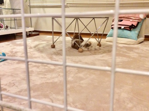 DBE7ADF8-0B5F-40FA-B9E0-CA76DA596C43