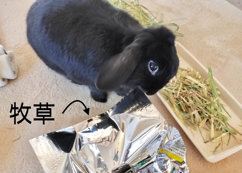 CEFD0135-6B18-4F31-848D-19CDD9333C8B