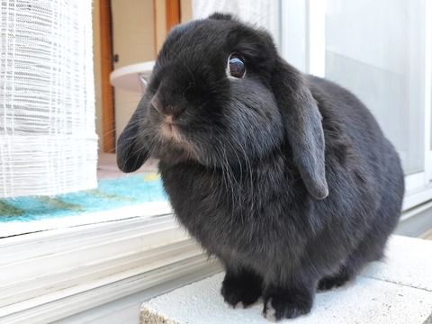 2EE4BAFA-4D10-4E5F-8FCA-6B427DB505D5