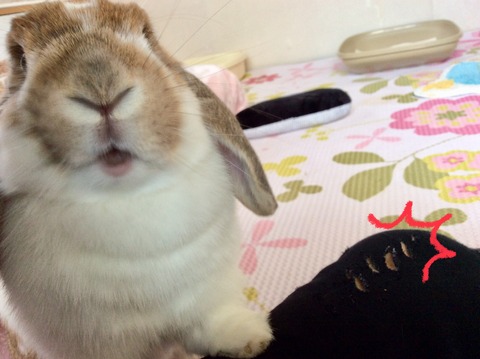 4F051EAC-F6E4-4B79-88BA-EBD97F544106