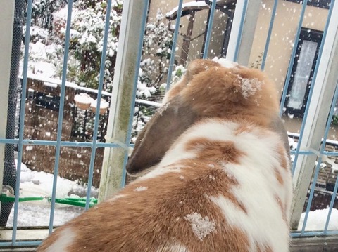 782A50F5-E780-44CD-9F9B-8070C5655782