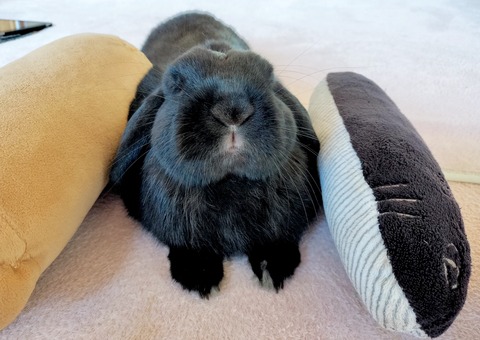 773C5B44-356A-4560-ABB3-6A3A0116DF76