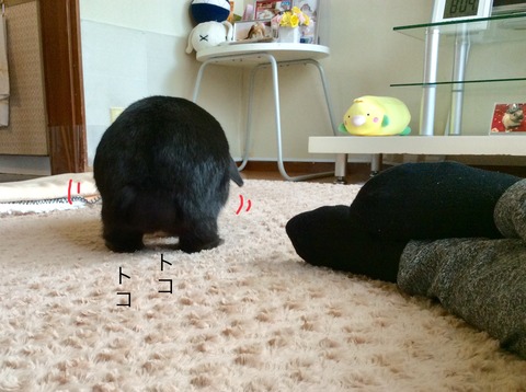 0CDC5CE4-F169-45D2-99D7-16E28937317F