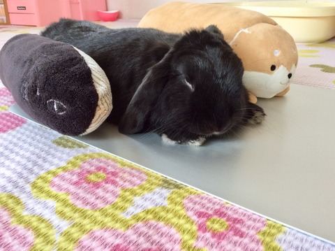 21EA8791-D9D6-4C1F-B316-5E824CB26FBF