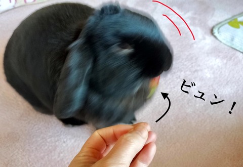D3E3D02D-5DDE-4221-B1F7-F3916AAD2377