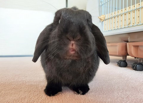 7E67CC2D-CA08-4677-BC12-F4A6F8D82DEE