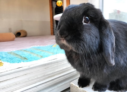 53D5637D-61A1-4E87-A258-3D50491C1AE7