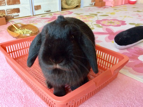 5C36FD47-2446-48F4-A97F-9A696753C25B