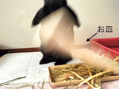 EC68B42B-3968-4456-B3CB-2D243D5FDCCA