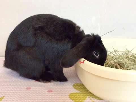 B6637228-C3EC-4441-813B-CD05B07C914B