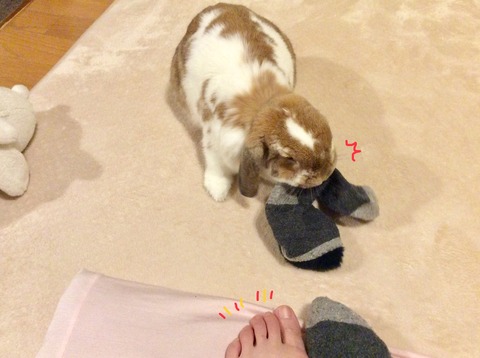 111B9356-8043-4D42-BAA3-674022B478F1