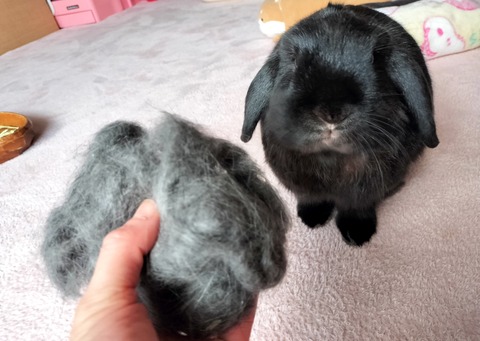 A6EE2024-00B3-411C-B7F4-A18EF4B20998