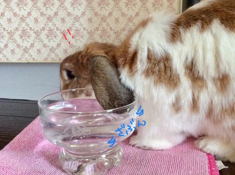 02A0E414-8A62-4C16-885D-332F5F1A4F6C