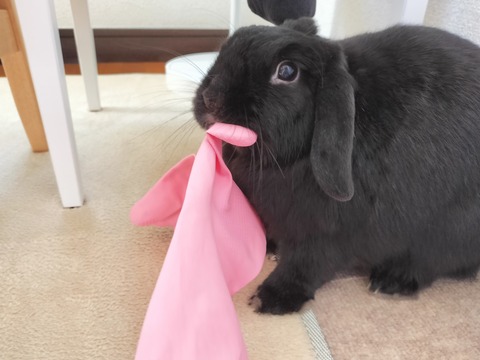 796CECD9-1DEC-474A-A42C-8D50BE5560DA