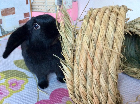 EC86DB95-F68B-46EB-8CE1-94B9301A3F88