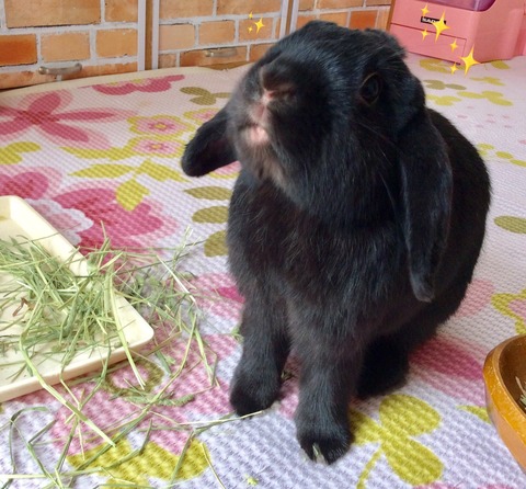 11D14A22-A851-44DD-90A6-BDFBCE5FAE3B