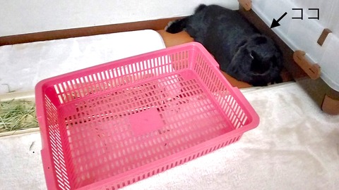 E8CFDEFD-3943-479E-8AC5-C7480C02E902