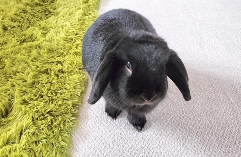 865D72DF-D94E-44AB-A0FC-F1B7A348B286