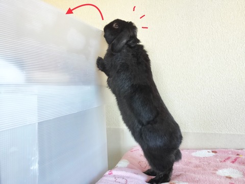 78665BD2-02EC-4B96-ACCD-3BA5CE0FDF34