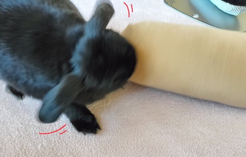 AA1E1238-F1E1-4F89-8840-EFCC83875871