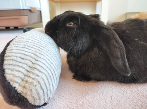 D5BA884F-4FD7-4B11-9E96-0F7F9AFA74DA