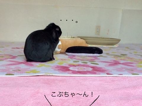 720AAD1D-79E3-4698-8221-75507DF3EADB