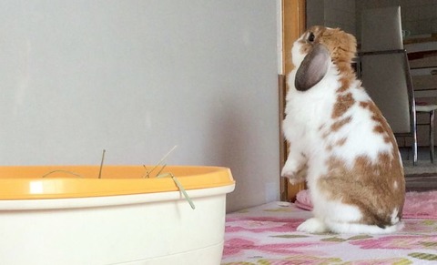 5EBD5D96-FC79-4C3A-B1A2-2AB73F35325F