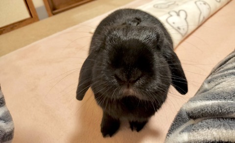 F8A78EBB-86D2-4418-970A-A8DAD927CCB6