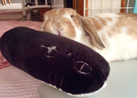 782DE695-A87F-4FA8-92A2-C904AB4D8AD3