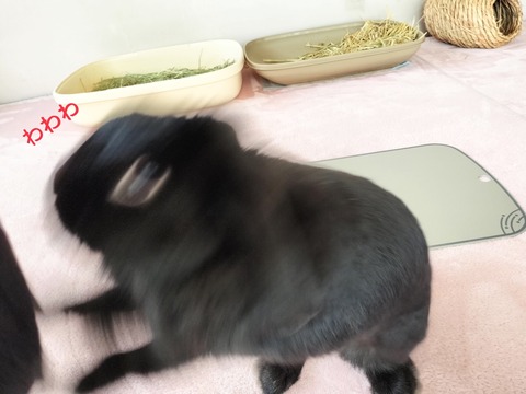 8AA5C5B2-E1A2-46EA-A925-AA1010900140