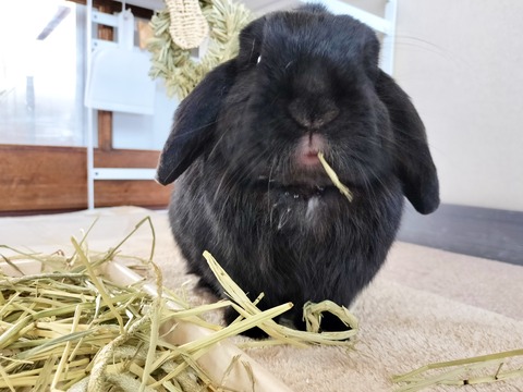 D8EDF816-80B2-408D-A5EB-272FF7E7A42F