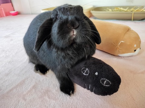 9922CBB0-B636-40E9-82A7-2C230312C7F1