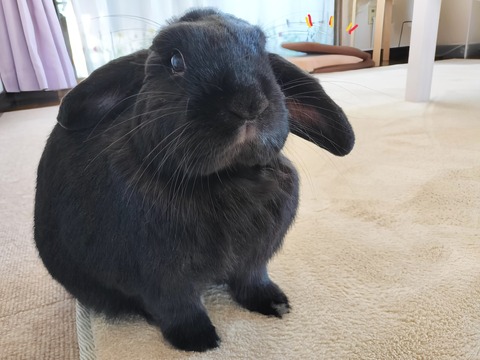 2B666CE2-62C1-4EBA-9CD1-349FD0C28097