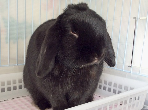 90865BF6-AA1D-4455-8A17-289BFCD4C6CA