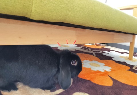 9BF6FE0A-D8D0-4F36-BA8F-C0916E7FCED5