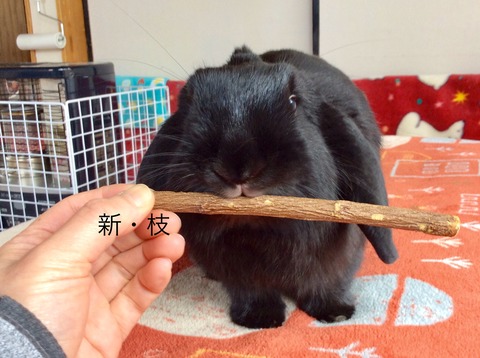 A78BAB9F-CAE5-4750-BF3A-499010985D63