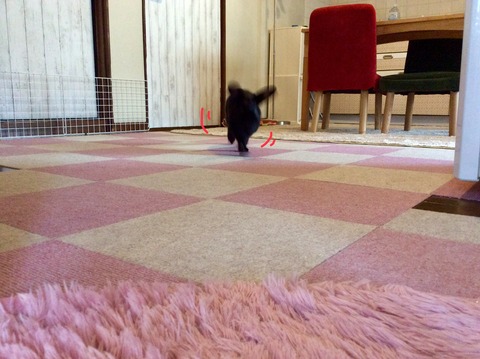 30C9C139-375A-4154-9CBD-20485C96CD8C