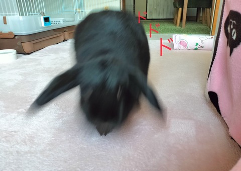 F487BAB3-68B3-4516-9466-904D47AC2CAE