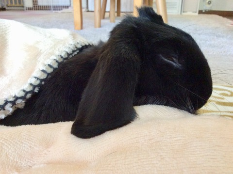 83828B96-B21C-46E2-9A64-DA411C27999B