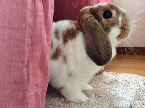 B1454CAD-021B-4404-B140-B652187E4964