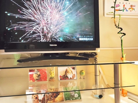 47214CEB-8BC0-40E8-8EB9-CEDA9457C6C4