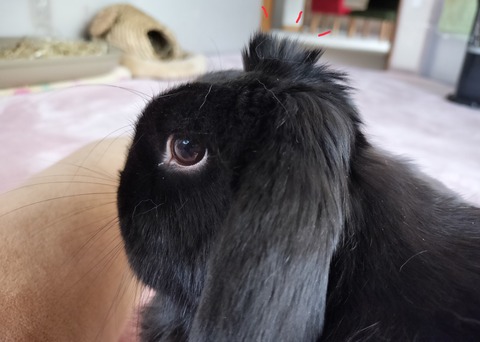 973A44D0-B8D6-43F0-8F76-F924255F8434