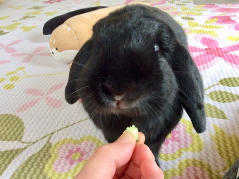 59C5CC7A-28EB-45FD-A970-DDD11F9629BB